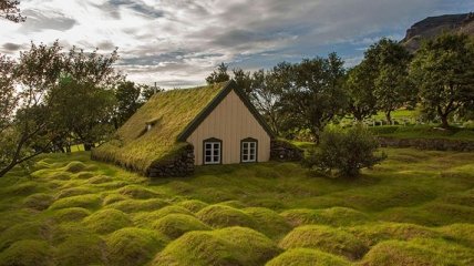 Сказочные домики с "зелеными" крышами в Скандинавии (Фото)