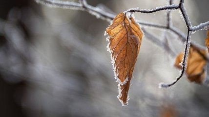 Грозы и мокрый снег: чем "порадует" нас конец ноября