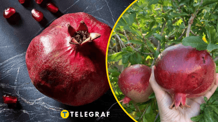 Насправді, почистити гранат дуже просто