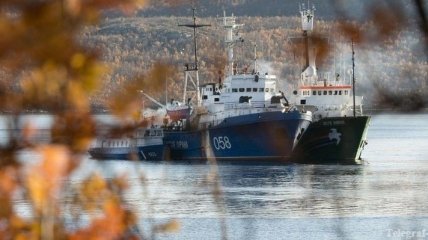 Greenpeace оспорил решение суда по членам экипажа Arctic Sunrise 