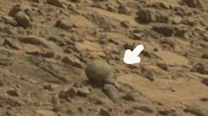 На Марсе обнаружен странный предмет, напоминающий череп 