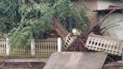 "Думала, землетрус починається": під Одесою ураган зривав дахи шкіл і підприємств (фото)