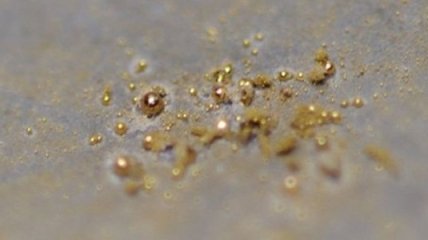 Существует бактерия, производящая чистое золото