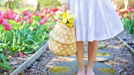 Посівний календар на травень 2022: сприятливі дні для посадок саджанців та квітів