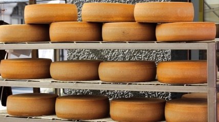 Названы скрытые опасности твердого сыра