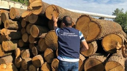 Незаконная вырубка леса: В Харьковской области проводят обыски лесхозов