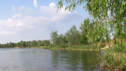 Санитарно-эпидемиологическая служба проверит одно озер в Киеве