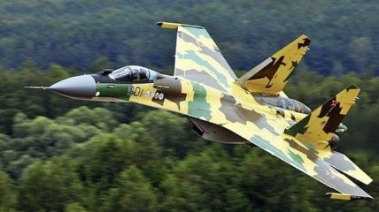 Су-35 вместо F-35: после отказа США РФ готова поставлять истребители Турции  
