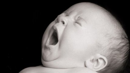 Почему зевание так заразительно? 