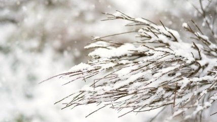 На католическое Рождество синоптики обещают настоящую зимнюю погоду