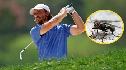 Томми Флитвуд