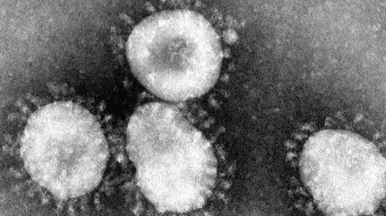 У Китаї через коронавірус померло 26 чоловік