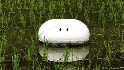 В Японии изобрели утку-робота, который поможет избавится от сорняков на рисовых полях (Видео)