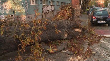 Ураган в Польше валил деревья и срывал крыши зданий