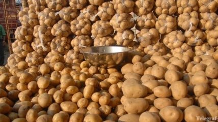 "Вимал" планирует запустить третий завод по производству картофельного крахмала