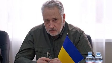 Глава Донецкой ОВГА Жебривский подал заявление об отставке