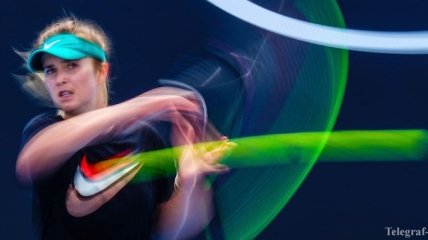 Украинские теннисистки заявились на весенний турнир в Монтеррее
