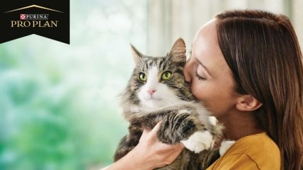 Nestle Purina представляет Pro Plan LiveClear, первый в мире корм, уменьшающий уровень аллергенов у котов