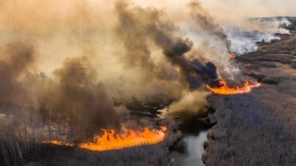 У Чорнобильській зоні виявили два нові осередки пожеж
