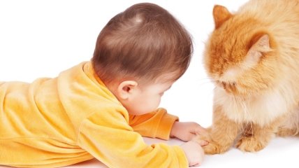 Дети для детей: сказка про рыжего кота