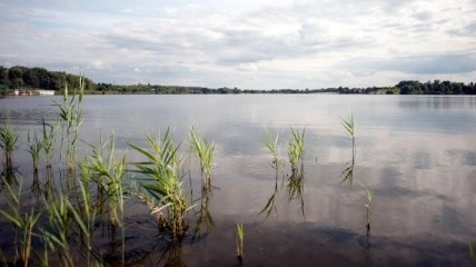 В Запорожской области обнаружили труп в реке