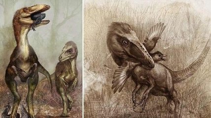 Палеонтологи внесли птиц в меню синокалиоптерикса