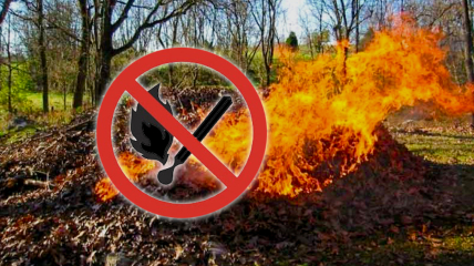 Поджигания листьев или травы запрещено законом