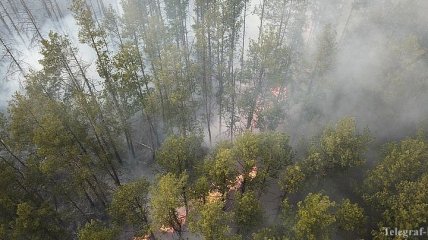 Привлекли вертолеты: В Чернобыльской зоне продолжается тушение очагов пожара