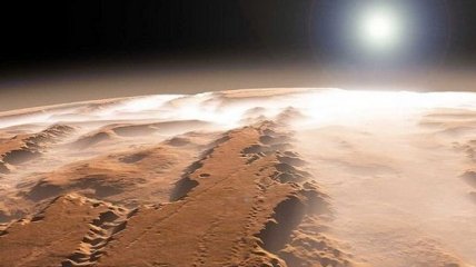 Жизнь на Марс занесена с Земли: возможно ли это? 