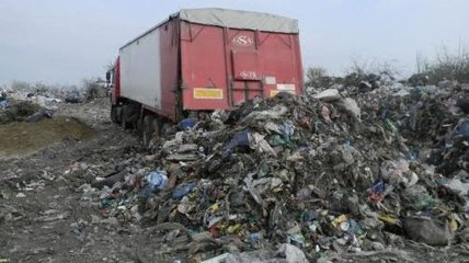 Во Львове уже очищена почти половина мусорных площадок города 