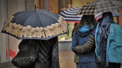 Украину накроют дожди: прогноз погоды на выходные