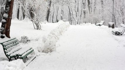 Погода в Украине на 20 января: холодно, без осадков