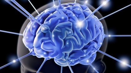 Ученые нашли черный ход в мозге человека
