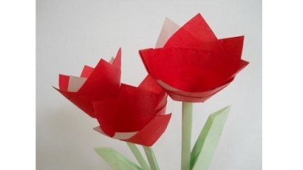 DIY: цветы из бумаги (ФОТО)