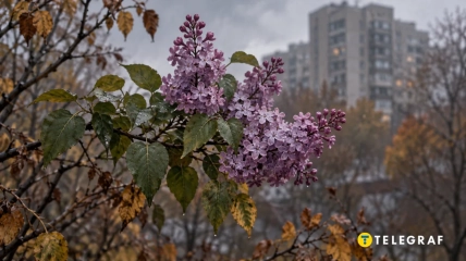У столиці помітили незвичне явище