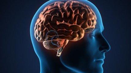Ученые назвали причину рака головного мозга