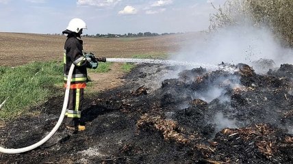 Спасатели потушили пожар на свалке в Киеве