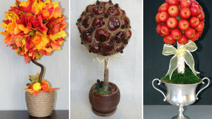 Осенний топиарий своими руками: делаем необычное украшение для дома