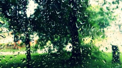 Погода в Украине 11 июня: пасмурно, возможен дождь с грозой