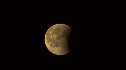 Лунное затмение 2020: онлайн-трансляция "Волчьей луны" (Видео)