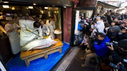 В Японии продавался самый крупный голубой тунец