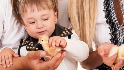 Сальмонеллез: как обезопасить малыша
