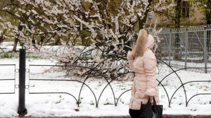 На выходные синоптики обещают украинцам мокрый снег 