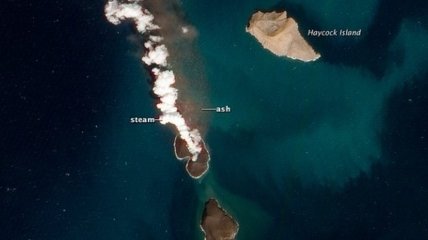 В Красном море образовались два новых острова