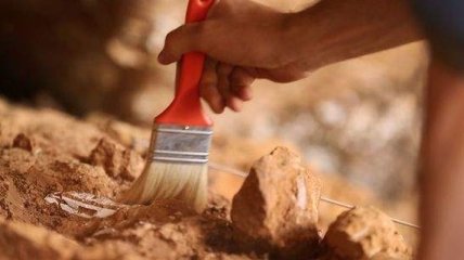 В Азербайджане археологами обнаружено уникальное древнее захоронение с золотом