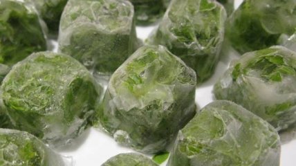 Вы сможете целую зиму есть блюда с зеленью