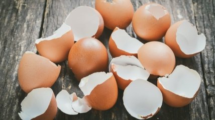 Яєчна шкаралупа – незамінний помічник на ділянці