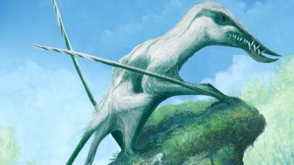 Ученые обнаружили останки нового вида птерозавра Юрского периода