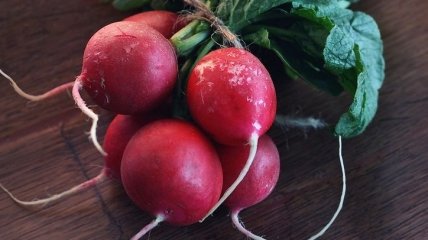Простенький, но полезный редис: Светлана Фус озвучила питательную ценность корнеплода и кому он противопоказан