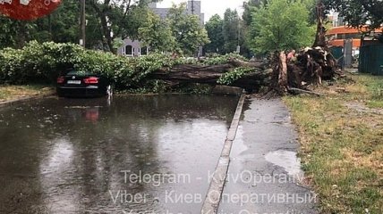 Киев накрыла гроза и штормовой ветер: фото и видео